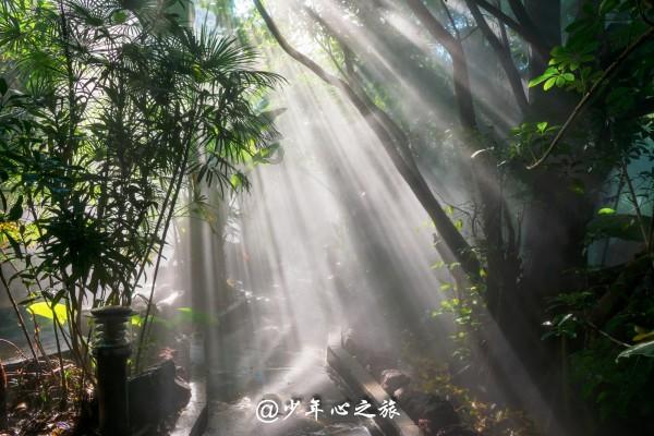 逃出安逸小乡村
